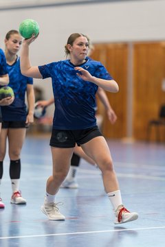 Bild 166 - F HSG Kremperheide/Muensterdorf - HSG Holstein Kiel/Kronshagen : Ergebnis: 31:26